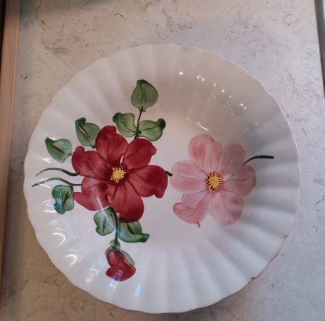 Vintage Blue Ridge Potteries 'Savannah' Pattern 9.5 Bowl 1