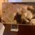 Baker Furniture Set of 3 Inlaid Mother of Pearl Handmade Trays 8 thumbnail