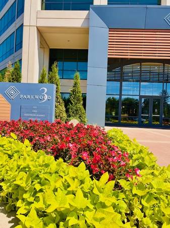 Work Independently with professional support for your business 1