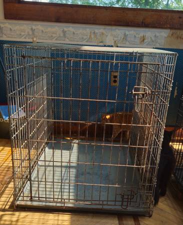 Dog Crate 1
