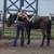 3 YO Gelding 13 thumbnail