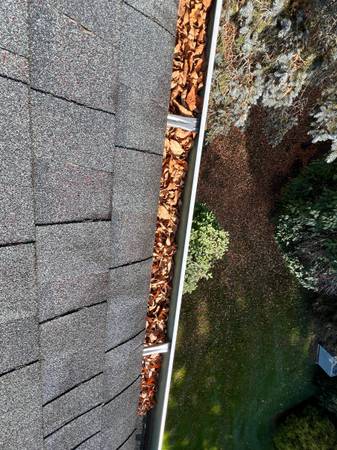 🍃Gutter Cleaning Season🍂 1