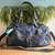 New Maurices Purse 1 thumbnail