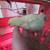 Bresse Hatching eggs by the Dozen 5 thumbnail