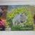 Lot 15 Wild FIber Magazines Preserving Traditions-Protecting Our Plane 4 thumbnail
