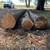 Cedar Logs 2 thumbnail