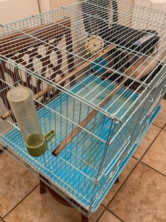 Large cage / Jaula grande (North Las Vegas)63907184664963121