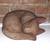 Hand carved Mountain lion 8 thumbnail