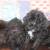 Schnoodles 7 thumbnail