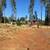 Price Reduced! 0.32 Acre Vacant Lot in a Prime Location! 4 thumbnail