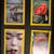 Old Yankee Magazines + National Geographics 2 thumbnail