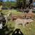 Outside lawn ornaments 2 thumbnail