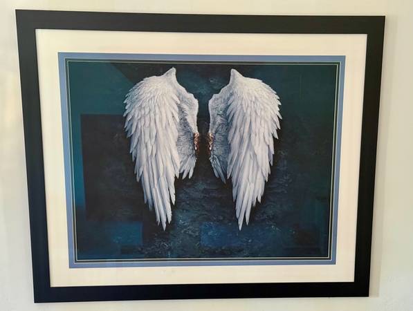Contemporary Angle wing print  / double Matt / framed 1