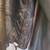 Leather Harley Davidson jacket 3 XL 4 thumbnail