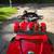 2012 Can Am Spyder RT Limited 1 thumbnail