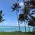 Beachfront Cottage 1 thumbnail