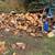 Dry firewood 7 thumbnail