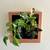 Modern Living Wall Planter 2 thumbnail