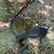 Craftsman gas string line trimmer 4 thumbnail