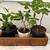 2 - Solid wood planter boxes. One short (with a hole) and one long.  M 2 thumbnail