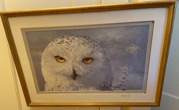JON VAN ZAYLE artwork Great White Owl 1