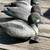 Duck Decoys 2 thumbnail