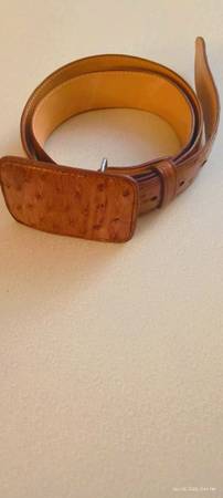 Ostrich belt 1