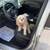 2002 *Chevrolet *Astro *AWD *All Wheel Drive MiniVan! *CLEAN A+ Condtn 7 thumbnail