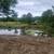 brush clearing-skidsteer work 8 thumbnail