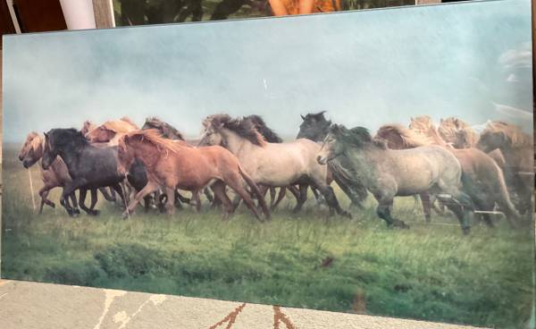 Framed Horses Poster 1
