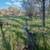 Price Reduction! NO Covenants 13.5 Acres Hobby Farm/Horses/ Airbnb 3 thumbnail