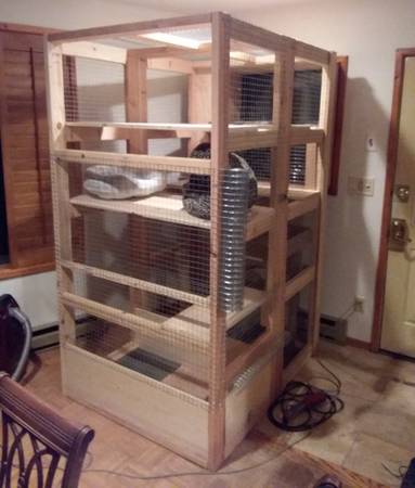 Cat Enclosure / Catio - Christmas Sale 1