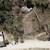 Land for sale in Las Juntas and Los Veranos 3 thumbnail