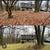 Leaves,Maintenance , Gutters, Tree Debris – We Do It All!! 3 thumbnail