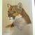 WILDLIFE ART PRINT~"COUGAR" SIGNED by GREG GUSTAVSON 1983 1 thumbnail