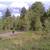 $45,000 / 1.18 AC - GOLD MEDAL RIVER BEAUTIFUL LAND READY FOR BUILD 9 thumbnail