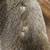 Shoulder Mount Buck 8 Point Taxidermy 8 thumbnail
