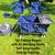 5pc Folding Wagon (2) Matching Chairs, Cooler, Tabletop 1 thumbnail