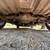 1970 Mustang Mach 1 21 thumbnail