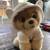 2 Boo Dogs by GUND  Stuffed Animals - LIKE NEW 1 thumbnail