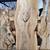 Live Edge Wood Slabs 6 thumbnail