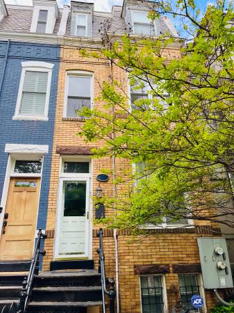 $1,800 / 1br - Capitol Hill: Lovely One Bedroom Apartment63822011632643120