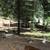 Work trade for a house in Meadow Valley $600-  . . . 8 thumbnail