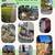 🌵🏞️🏜️James G Landscaping🏜️🏞️🌳(720)-569-0760 1 thumbnail