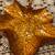 Glass Leaf Shaped Serving Platters 3 thumbnail