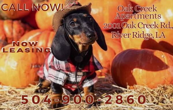 $1,395 / 2br - 1014ft2 - APPLY NOW!! OAK CREEK APARTMENTS (River Ridge)63903652768259120