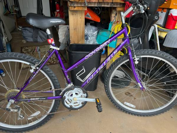 Womens 24” Bicycle 1