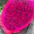 Dragon fruit 4 thumbnail