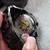 Collectable Invicta Watch 4 thumbnail