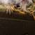 Degu 2 thumbnail